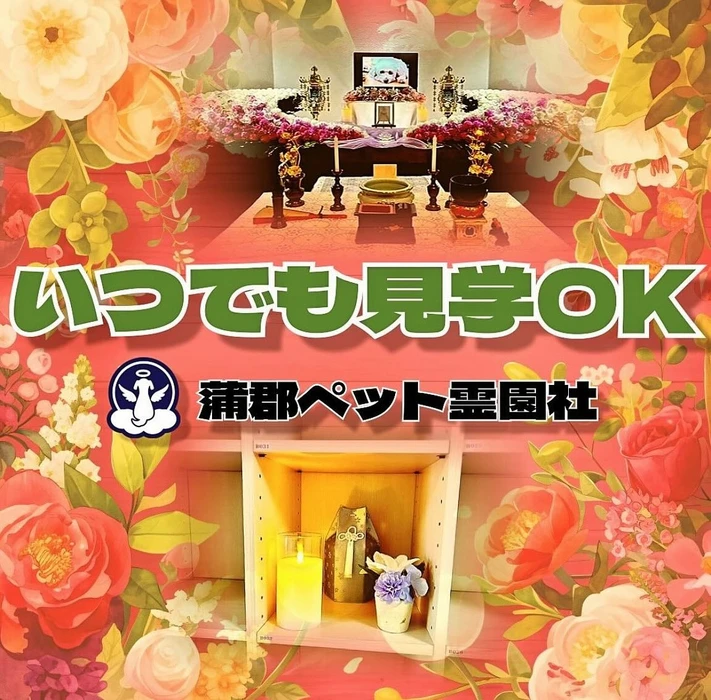 画像586