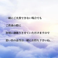 画像599