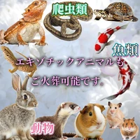 画像601