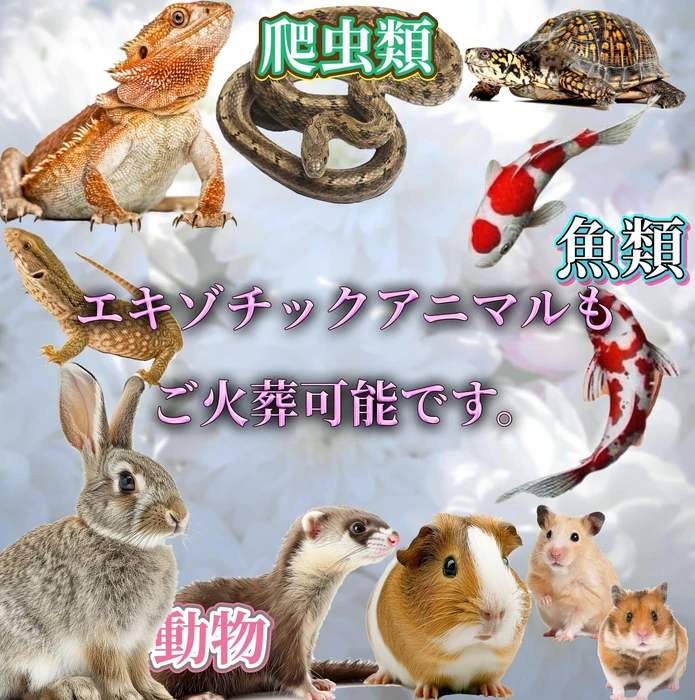 画像601