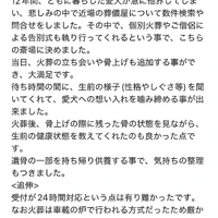 画像603