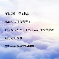 画像625