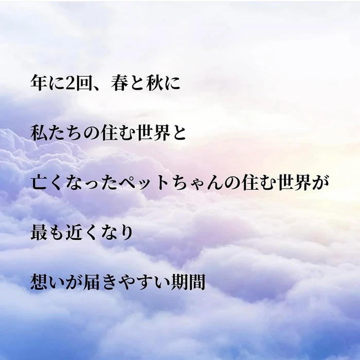 画像625