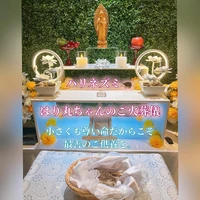 画像627