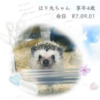 画像628