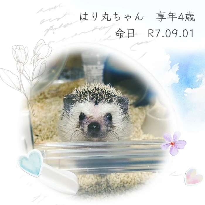 画像628