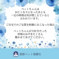 画像636
