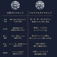 画像690