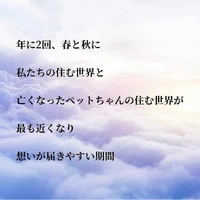 画像701