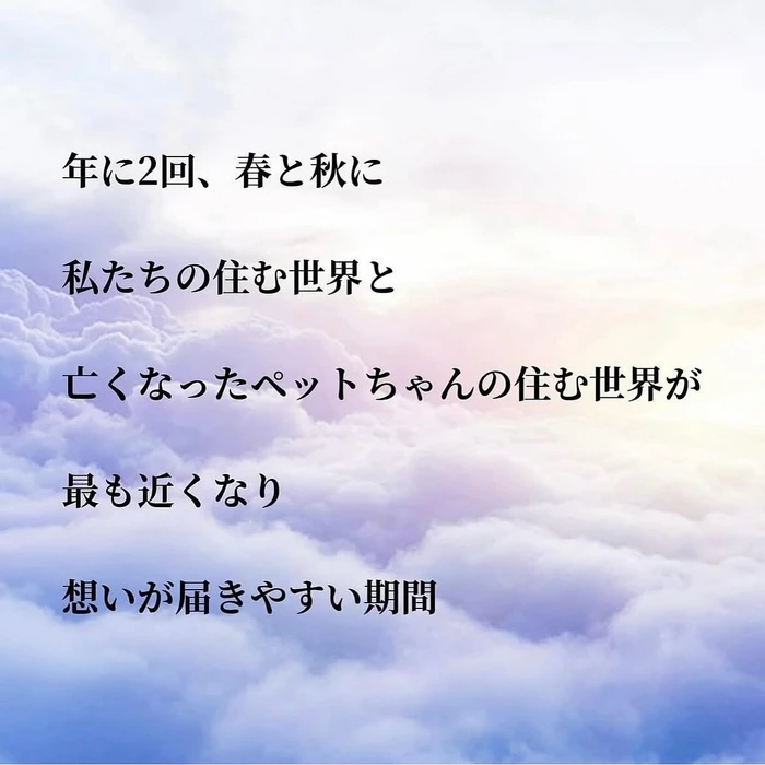 画像701