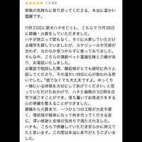 画像703