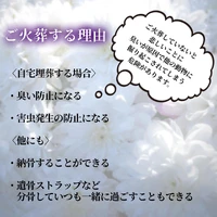 画像718