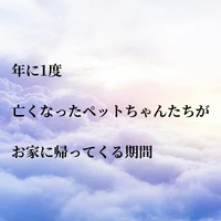 画像739