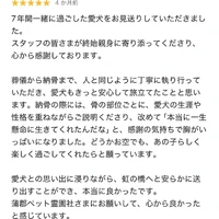 画像741
