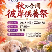 画像748