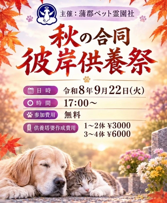 画像748