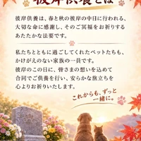 画像749