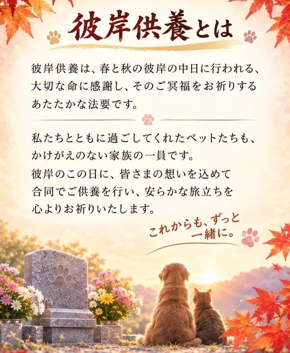 画像749