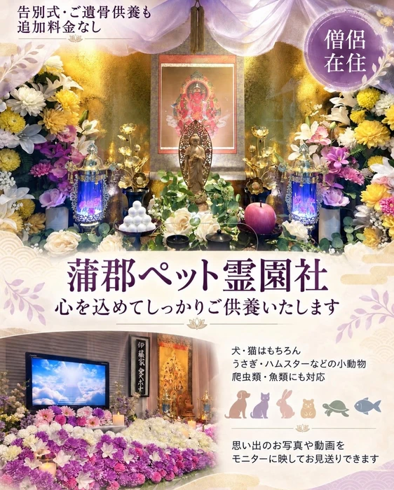 画像770