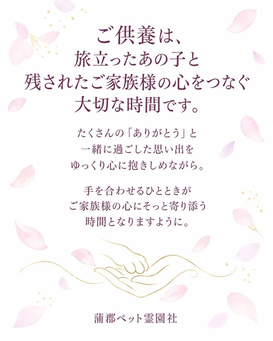 画像771