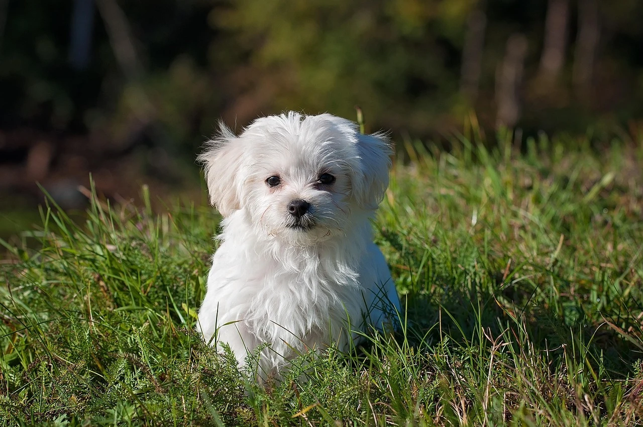 AdobeStock_180834732