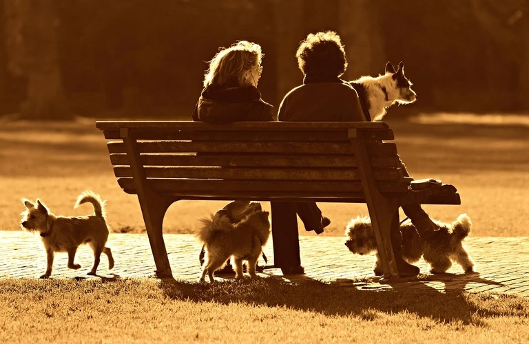 愛犬の最後を見届けるペット葬儀サービス