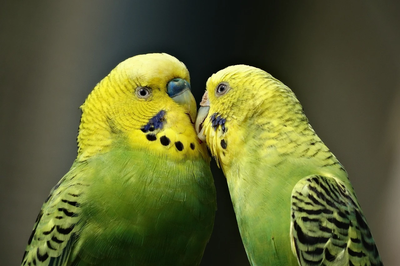 AdobeStock_320602732