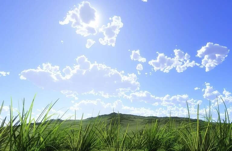 【本日お電話つながりやすいです】24時間受付のペット火葬・葬儀供養・納骨なら｜蒲郡ペット霊園社